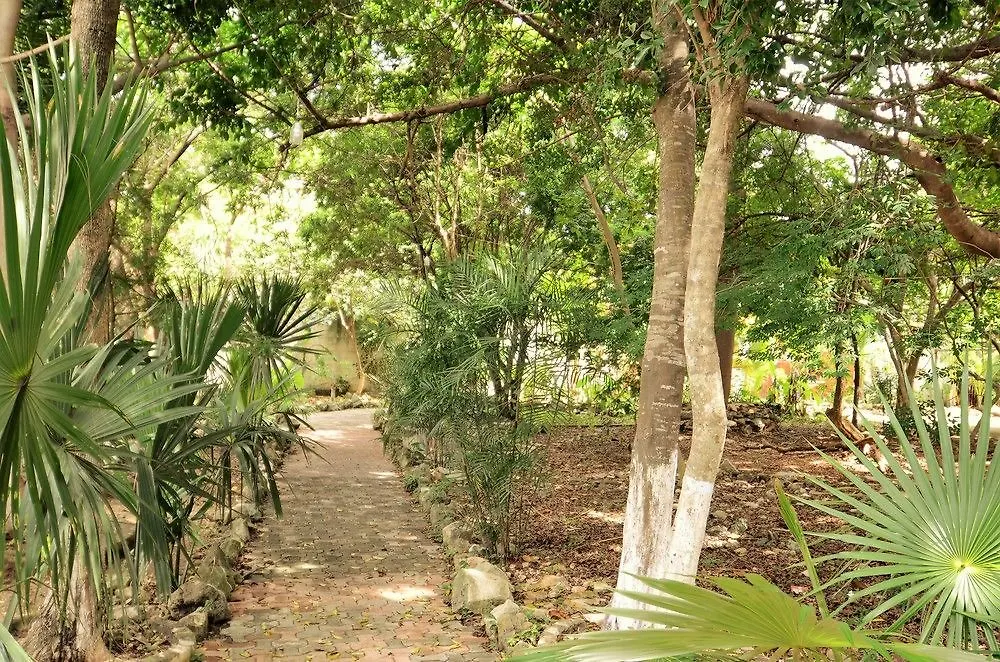 Apartment 1 Bedroom Tohoku Playa del Carmen
